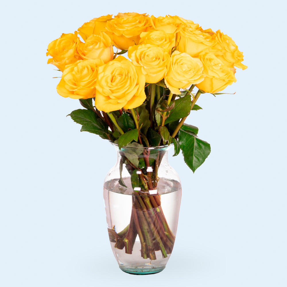 Yellow Roses