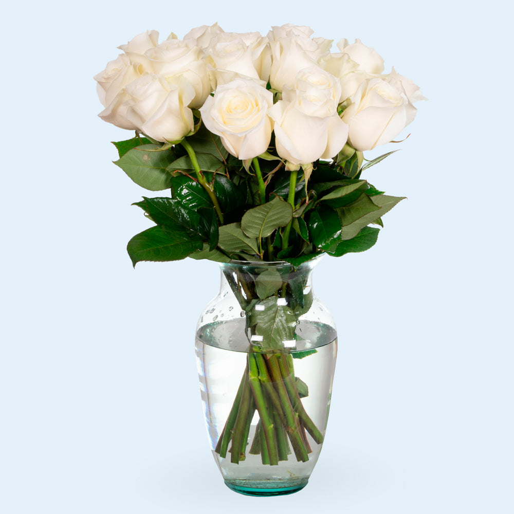 White Roses