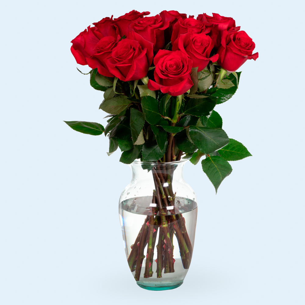 Red Roses