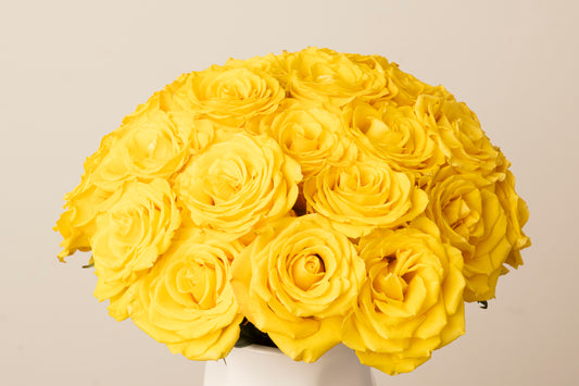 Yellow Roses