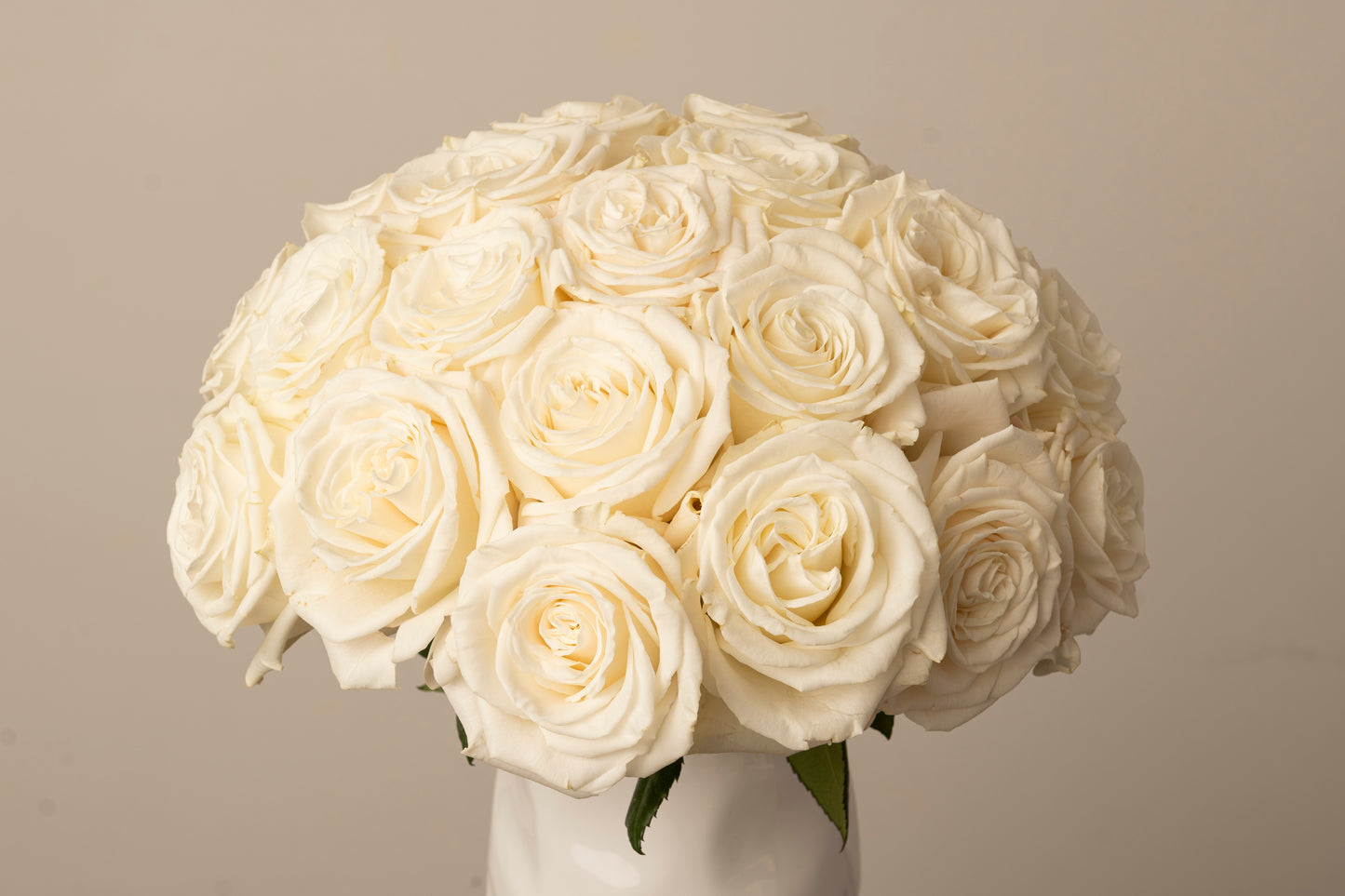 White Roses