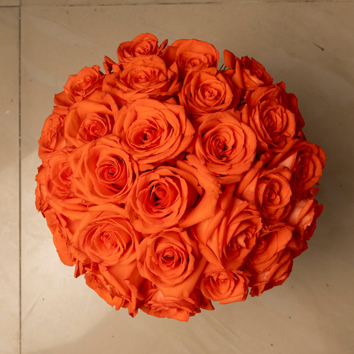 Orange Roses