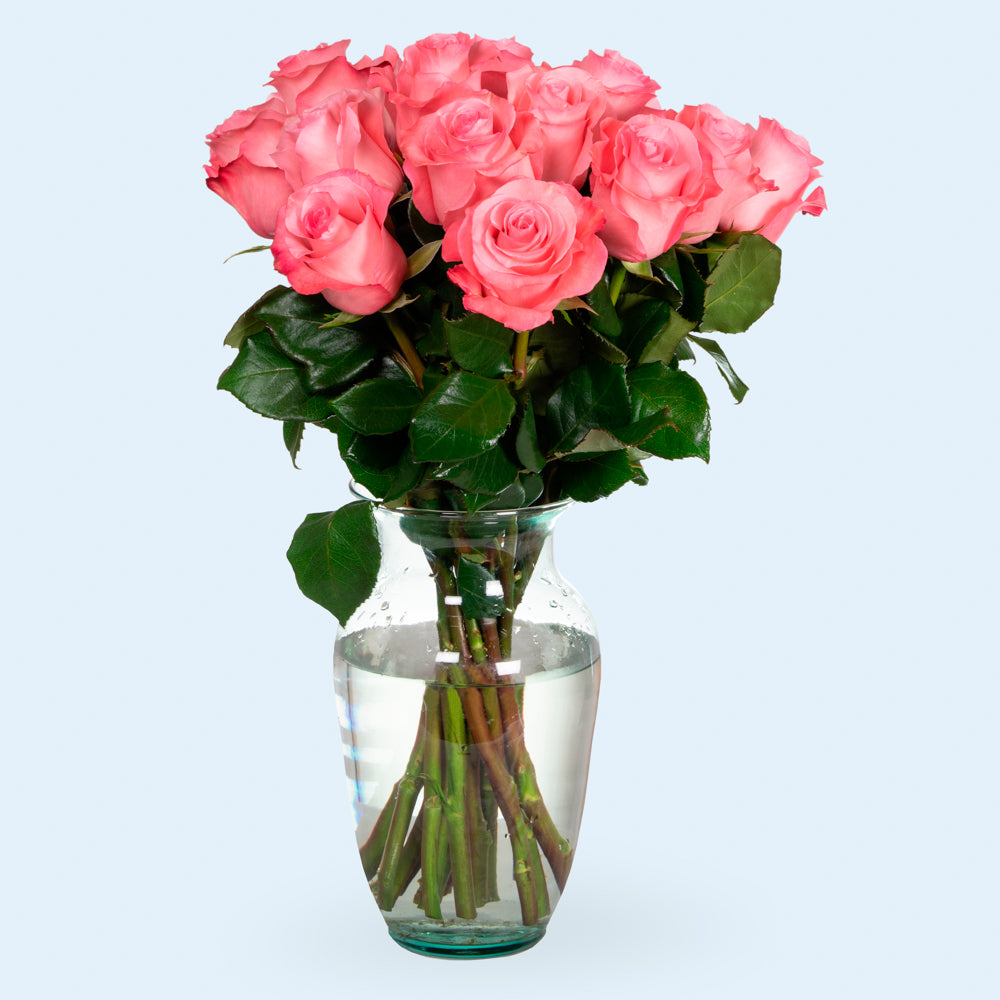Light Pink Roses